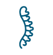 Spine/Neck & Back Surgeries